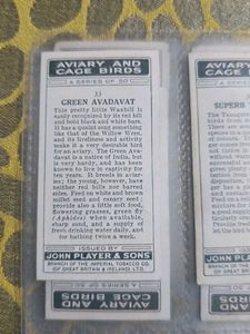 Vintage Bird Cards