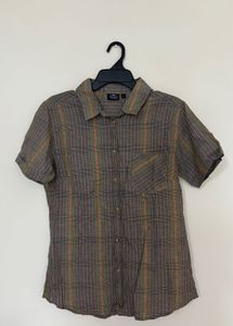 Earthy Button Down Half Sleeve Stripe Formal Shirt