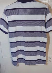 Polo T Shirt Men
