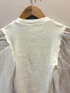 Zara Knit Top with Sheer Sleeves