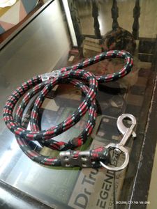 Free - Pet Leash