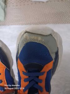 Colorful Sneakers