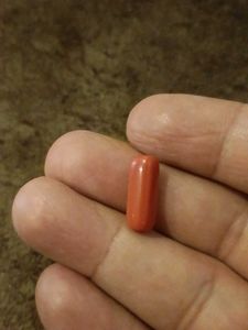 Single Red Coral