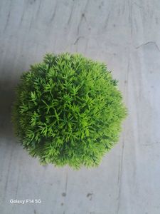 Plastic Tree For Aquariums [* Note Only One Piece]