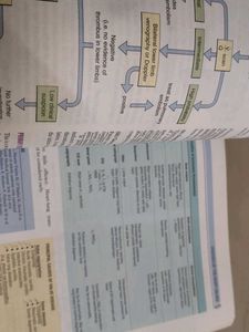 🛑Legendary Davidson Medicine Textbook