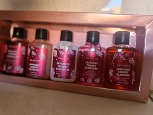 Japanese Cherry Blossom Discovery Kit (Pack of 5)