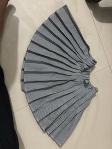 Pleated Skirt