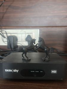 Black Horse Figurine