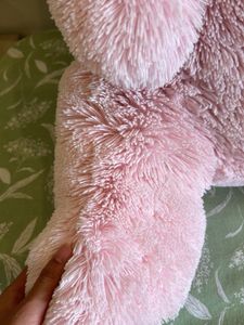 Teddy Bear (2 Feet) Ht