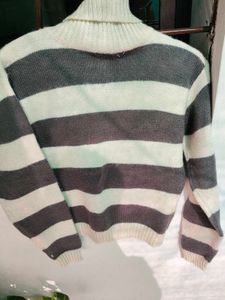 Turtleneck Sweater