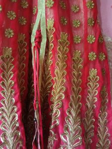 Pink & Gold Embroidered Dress