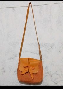 Baggit Originals Sling Bag With Back Zipper