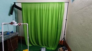 Green Screen with Stand