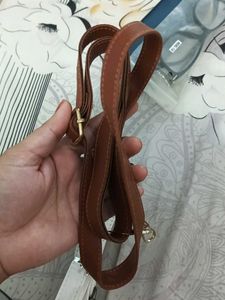 Handbag Straps