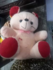 Teddy Bear