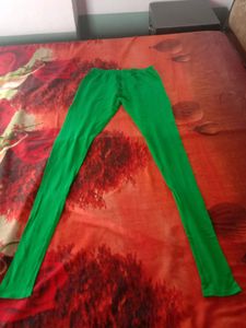 Parrot Green Chudidaar Legging