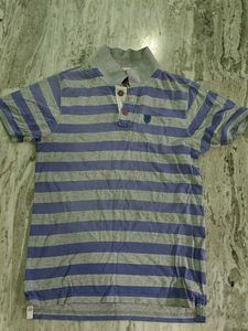 Striped Polo Tshirt
