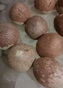 10 Piece Of Pooja Supaari