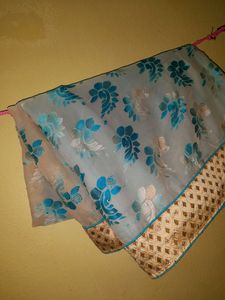 Beautiful Saree With Blouse