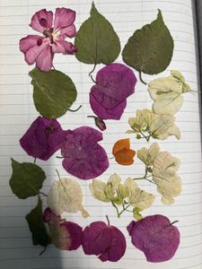 dry flowers for resin art
