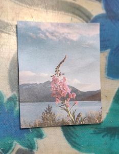 Aesthetic Journaling Paper Pack Of 10