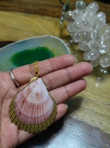 Handmade Seashell Necklace 🌸