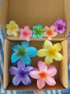 Flower Hair Clips (1 Free Gift 🎁)
