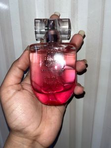 Plum  Perfume Tulips Don’t Lie🌷