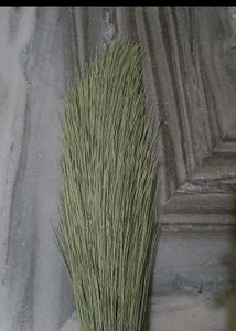 New Brooms - Superior Cleaning