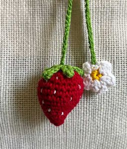 Crochet Charms Combo 🥳