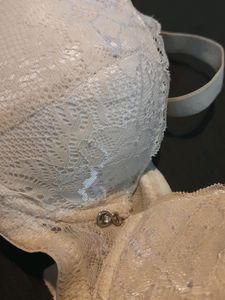 Imported Pushup Bra
