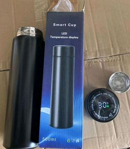 Temperature Bottle