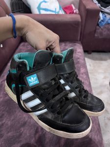 Adidas High Top Sneakers