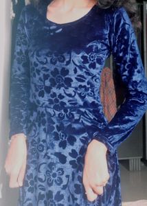 Vintage Blue Floral Velvet Dress