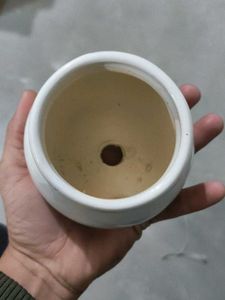 White Ceramic Pot