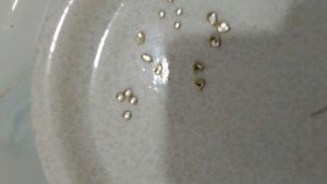 Kundan Stones