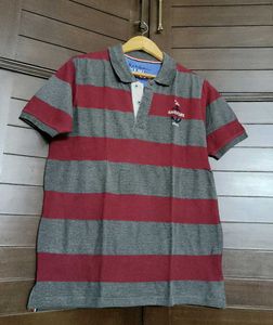 Mast & Harbour Men Grey Red Striped Polo Tshirt