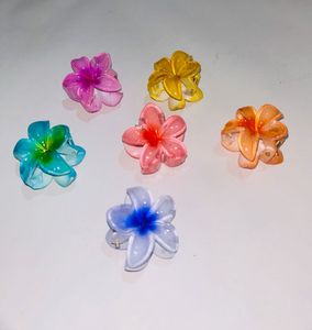 MINI CLAW CLIPS (pack Of 6)