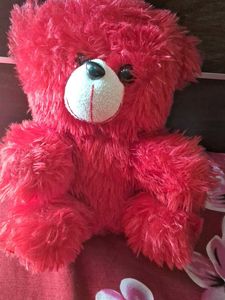 Teddy  Bear