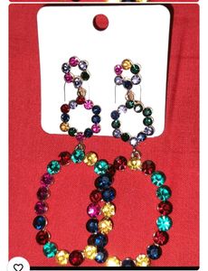 Multi Colour Long Earrings
