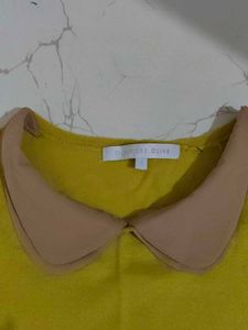 Yellow &amp; Beige Peter Pan Collar Top