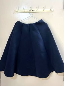 Navy Blue Skirt