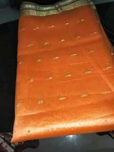 Unused Festive Wear  Sari with Gold Borde