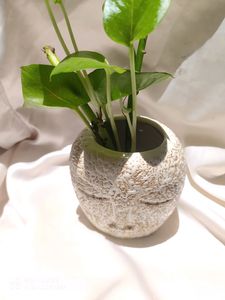 2 Beautiful Ceramic Vase ✨🏺