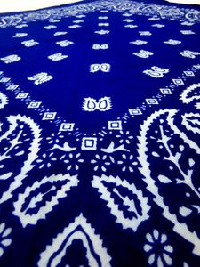 Blue Bandana
