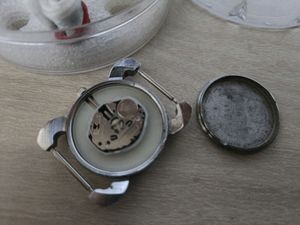 Watch - Interchangeable Ribbon Band