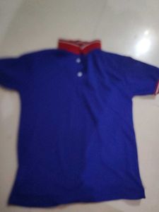 Blue T-shirt with Red Collar