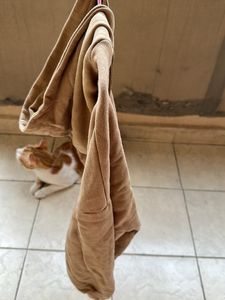 Brown Colour Hoodie