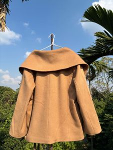 Elegant Tan Coat with Wide Collar