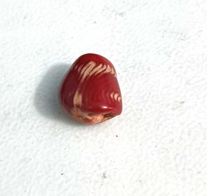 Real Red Coral